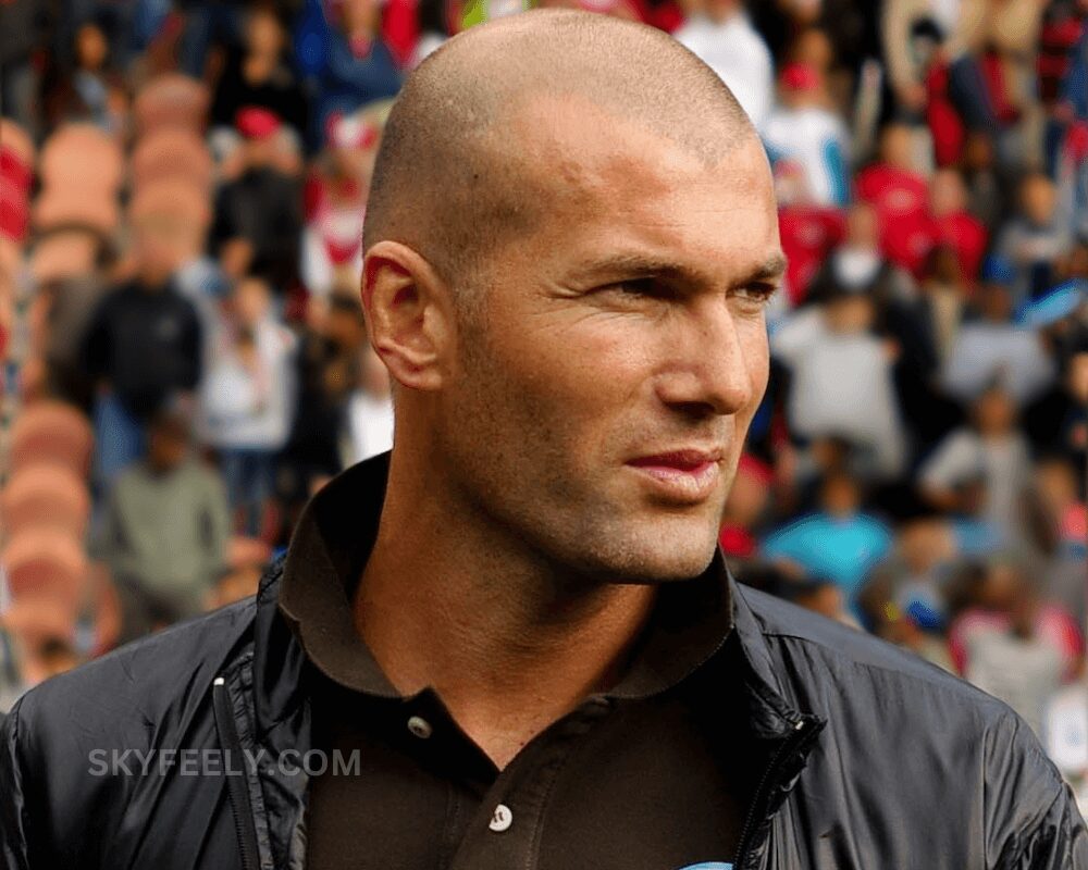 Zinedine Zidane Football Player
