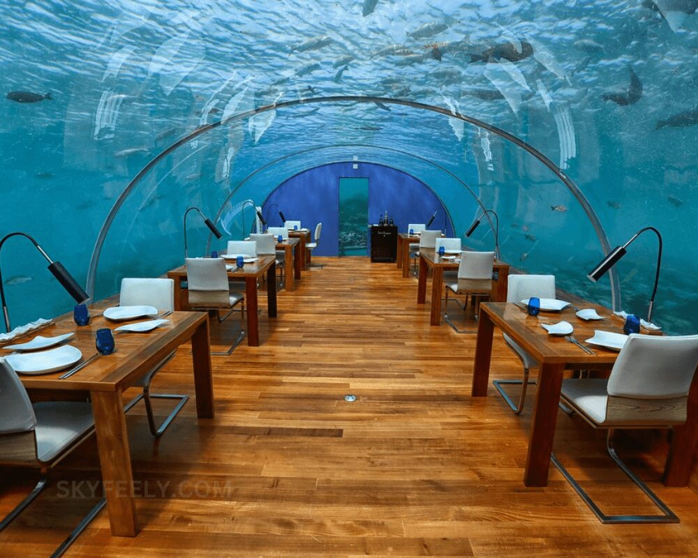 Ithaa Undersea Restaurant of Maldives 