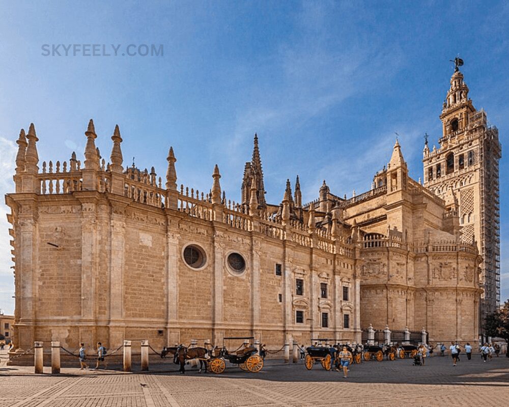 Seville Cathedral tourist place of spain
